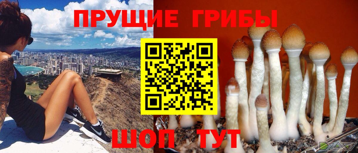 Псилоцибиновые грибы прущие грибы  Вход с VPN  Воркута 