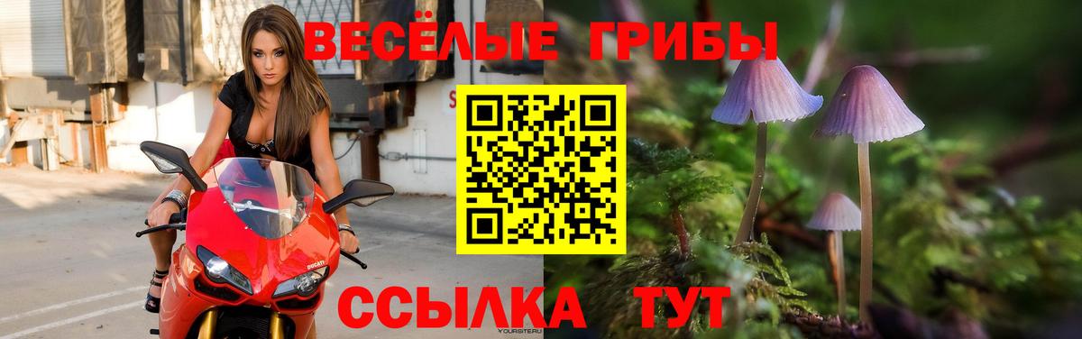 Псилоцибиновые грибы мухоморы Воркута